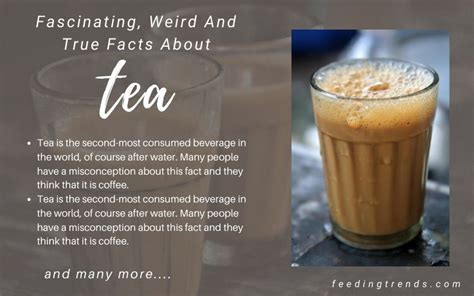 40 Facts About Tea Which Are Fascinating Weird And True