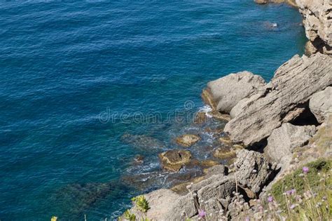 Summer Sea Green Shore And Rocks In The Sea Stock Image Image Of