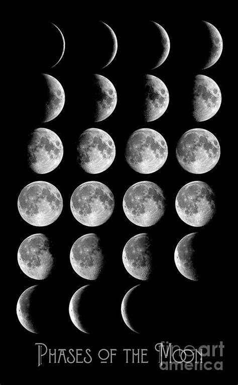 Astronomy Chart Phases Of The Moon Lunar Chart Photograph By Tina