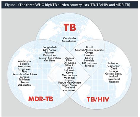 drug resistant tuberculosis what is the situation what are the needs to roll it back amr control