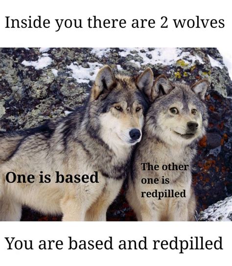 Dongs In A Wolf Meme By Batchr Memedroid