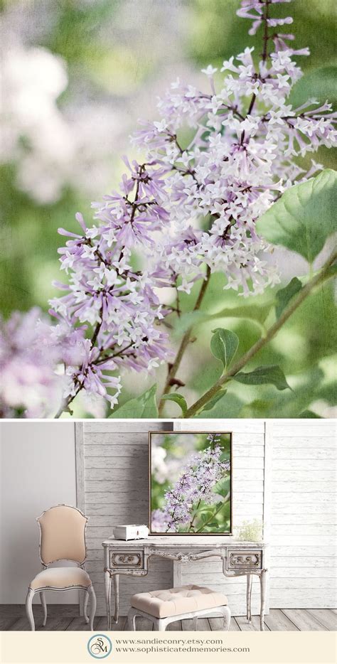 Lilac Wall Art Garden Photography Fine Art Photo Nature Etsy Spring