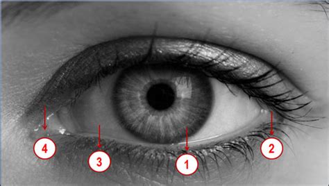 Kedutan mata kiri atas sering dikaitkan dengan mitos tertentu. 4 Arti Kedutan Kelopak Mata Kiri Bawah menurut Islam dan ...