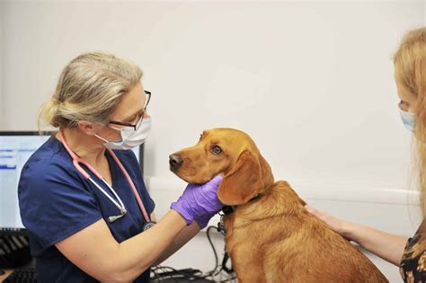 10 Early Warning Signs Of Cancer North West Specialist Runcorn