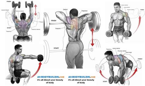 Top 5 Shoulder Workouts For Mass