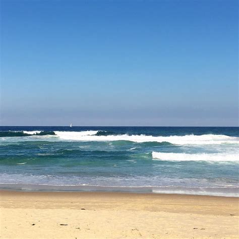 Yes, dogs are allowed on redondo beach as long as they are on a leash. Hello New South Wales! . So happy to see you again. We ...