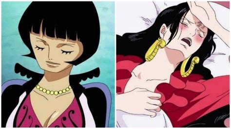 3 Ratu Amazon Lily Di One Piece Yang Sudah Terungkap