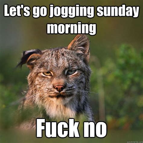 Best 32 Sunday Morning Memes Sunday Morning Memes Morning Memes Sunday Humor