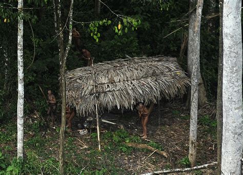Uncontacted Amazon Tribes Endangered In Peru Brazil Indigenous Group