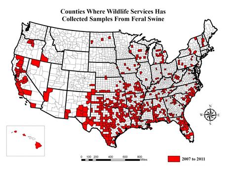 Wild Hog Population Map 2023 World Map