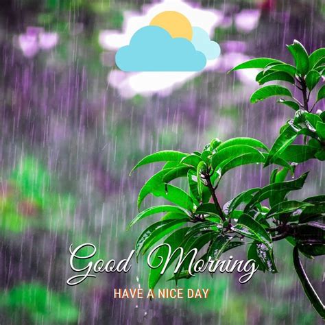 Top Good Morning Rainy Day Hottest SESO OPEN