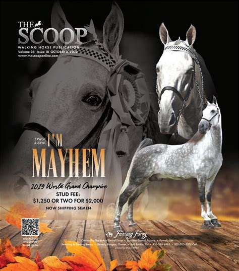 click-here-to-view-the-october-3-2022-issue by The Scoop Walking Horse