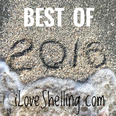 2016 Best Of I Love Shelling I Love Shelling