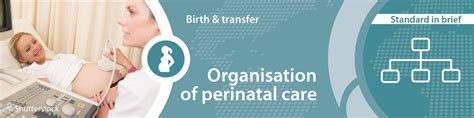 Organisation Of Perinatal Care Escnh European Standards Of Care For