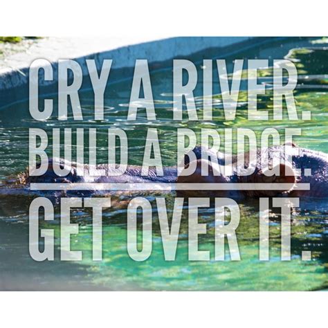 Cry A River Build A Bridge Get Over It Breakup Gettingover Quote