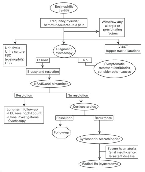 Algorithm Of Eosinophilic Cystitis Download Scientific Diagram