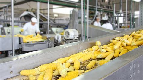 The ministry of agriculture and food industries (malay: Streamline Food Production Processes with Proper Weighing ...