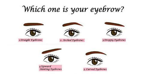 here s what your kind of eyebrows has to reveal about your personality