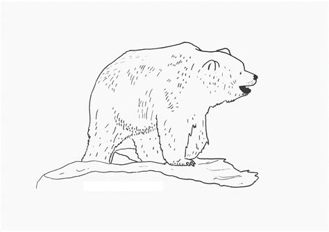 5 out of 5 stars (2,337) 2,337 reviews $ 3.01. Free Printable Bear Coloring Pages For Kids