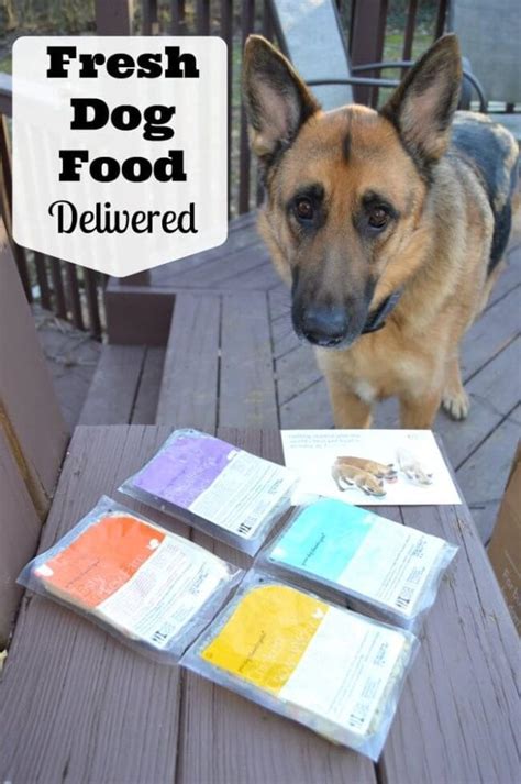 Trial packs for dogs dry food for cats. NomNomNow Dog Food Delivery Service & Discount | Family ...