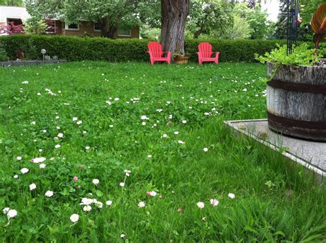 We did not find results for: Mellow meadow replaces lawn | The Spokesman-Review