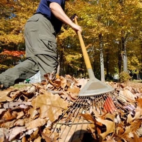 Need Help Raking Leaves Neighbors Link Northern Westchester To The Rescue