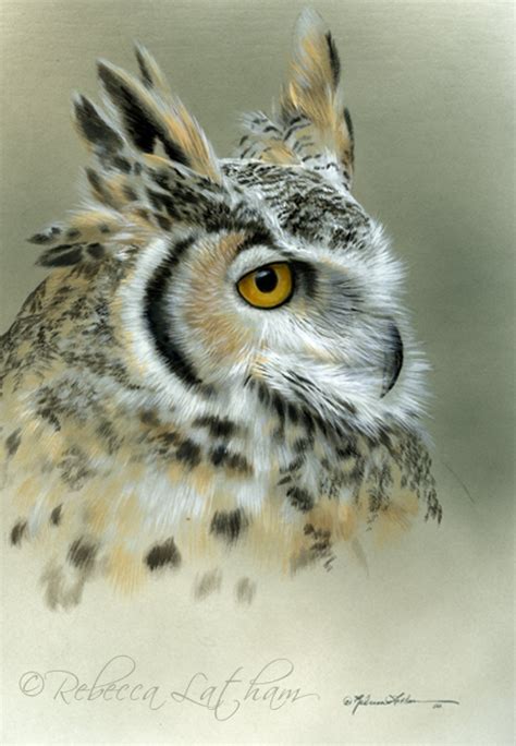 Owl Quick Draw Paintings Of Wildlife And Nature By Rebecca Latham