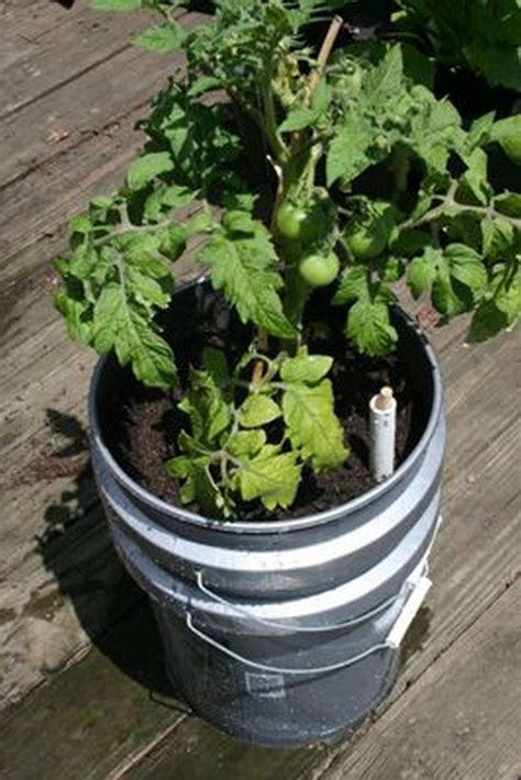 It's wonderful for decorating, great for carrying items around, and also makes for a wonderful organizer in your car. DIY 5 Gallon Self-Watering Planter | The garden!