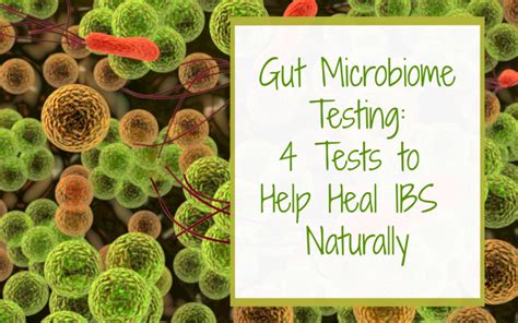 Gut Microbiome Testing 4 Tests To Help Heal Ibs Naturally Confluence