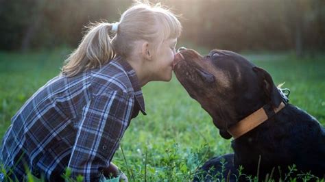 Humans Kiss Their Dogs More Than Their Partners Study Finds