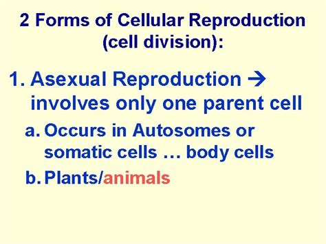 The Nucleus Asexual Reproduction Mitosis Cell Division General
