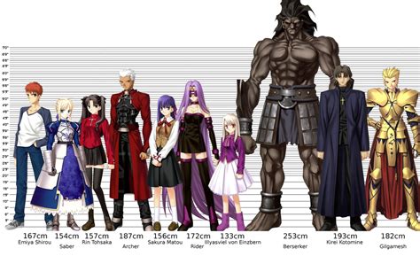 Fatestay Night Character Height Chart By Blageyt On Deviantart