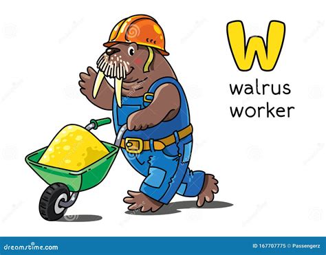 Walrus Worker Alphabet W Animals Professions Abc Stock Illustration
