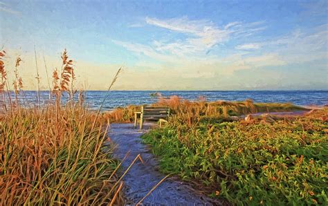 The View Photograph By Hh Photography Of Florida Fine Art America