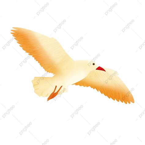 Without Hd Transparent White Birds Fly High Without Picking Png