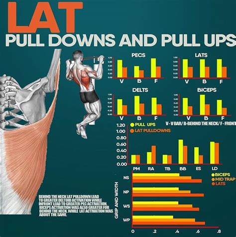 Lat Pull Downs And Pull Ups Pull Ups Workout Plan Gym