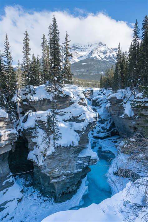 Jasper Alberta The Ultimate Winter Itinerary For Adventurous Travelers