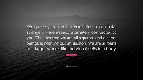 Steve Pavlina Quote “everyone You Meet In Your Life Even Total