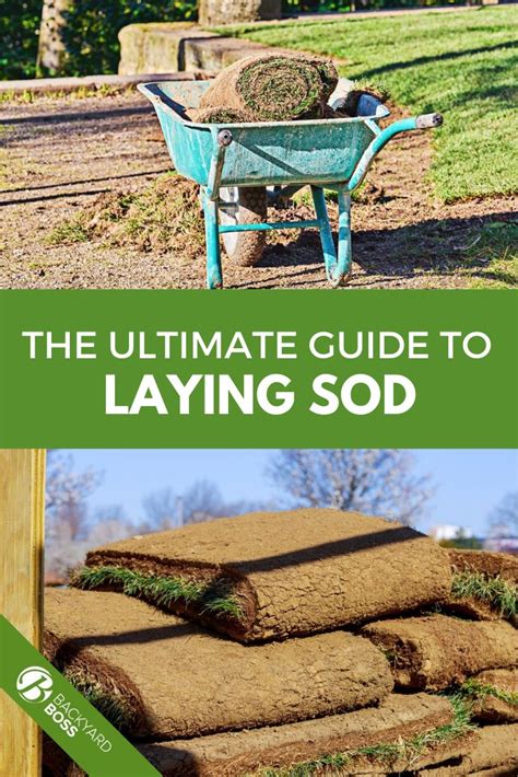 Finally, its time to lay the new sod. How to Lay Sod in 5 Steps: Installing a New Lawn in 2020 ...