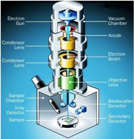 Схемы построек | minecraft schematics by ziganenok and other. Schematic diagram of a scanning electron microscope [118 ...