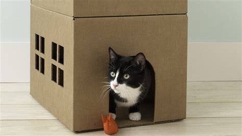 How To Make A Cardboard Cat Playhouse Martha Stewart