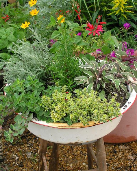 How To Use Herbs In The Landscape Hgtv