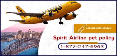 Spirit airlines pet policy spirit airlines is allowed to travel only small pets on all. Airlines Pet Policies | Flights Online Pet Policies