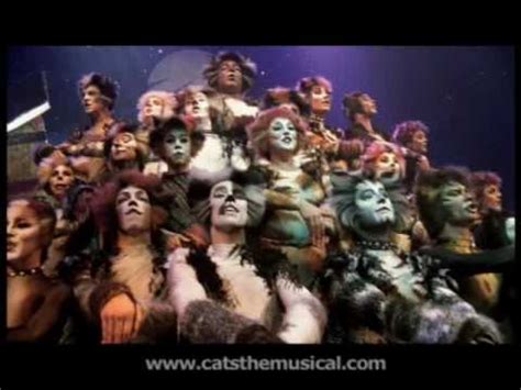 Cats was probably one of the best made worst films of all time, largely due to the mastery and hard work put into the performances of the top tier dancers and because this film is basically just a bunch of songs from the musical stitched together with barely the attempt at any real plot, here's a list of the. Jellicle Songs - part 2. From Cats the Musical, the film ...