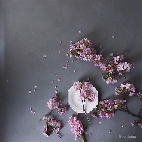 Flowers On Instagram Best Flower Accounts On Instagram To Be Inspired