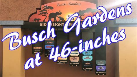 Check spelling or type a new query. Busch Gardens at 46-inches tall - YouTube