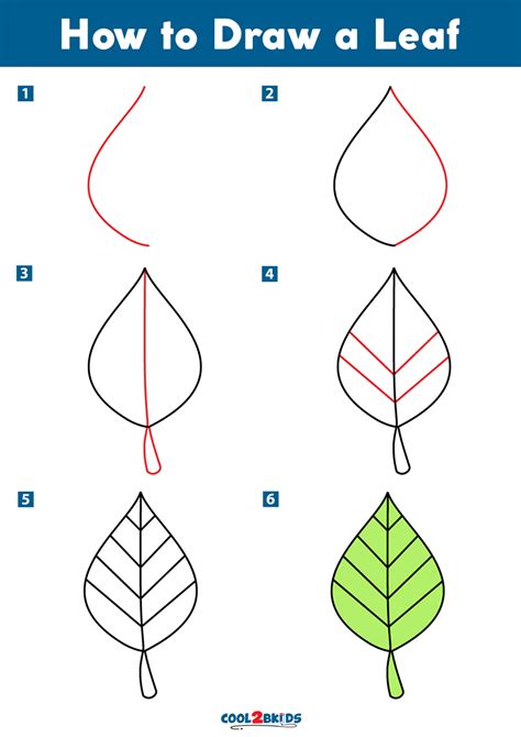 How to draw in 3d. How to Draw a Leaf | Cool2bKids