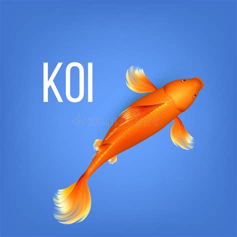 Koi Fish Top View Stock Illustrations 281 Koi Fish Top View Stock