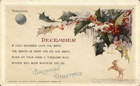 An Old Fashioned Christmas Card With Holly And Mist On Its Side Which