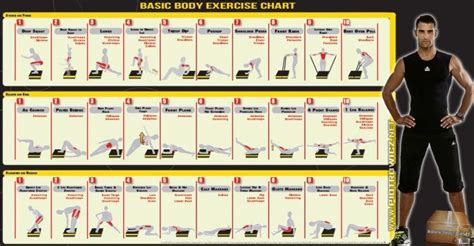 Basic Body Exercise Chart Healthy Fitness Training